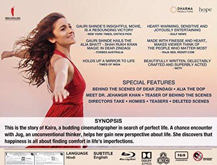 dear zindagi movie subtitles dear zindagi movie subtitles